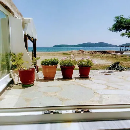 Retro House *