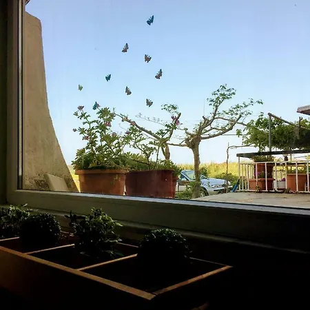 Holiday home Retro House Nea Peramos (Macedonia)